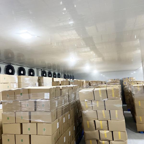 Small Vegetable/ Fruit/ Meat Chiller Type Walk in Freezer Cold Storage Cool