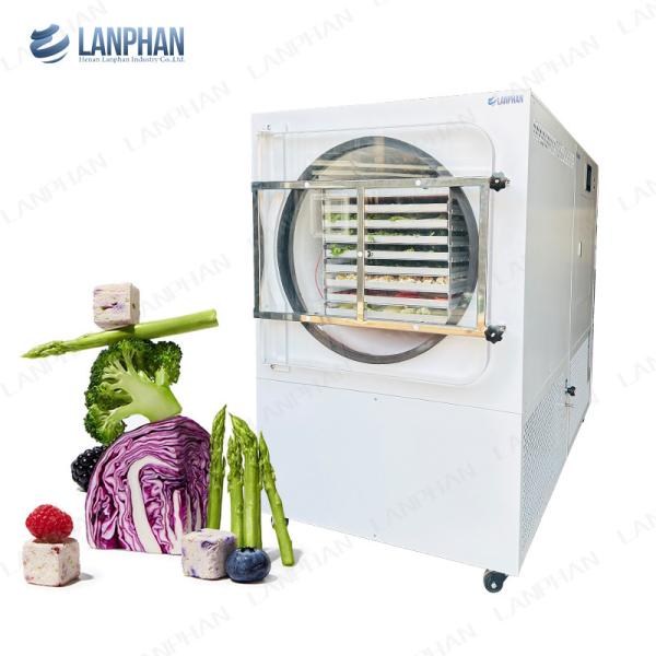 Lanphan Automatic Large Freeze Dryer 5m2 Freeze Dryer Machine For Meat Fruit