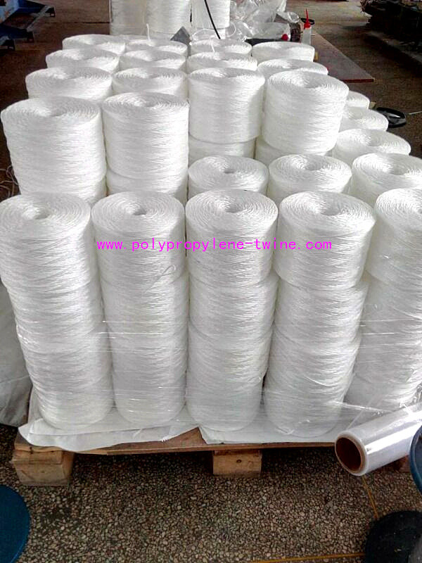 100% PP Virgin Material Tomato Tying Rope Agricultural String