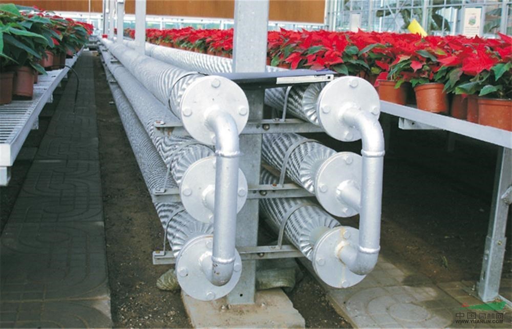 Tomato Cucumber Lettuce Growing System