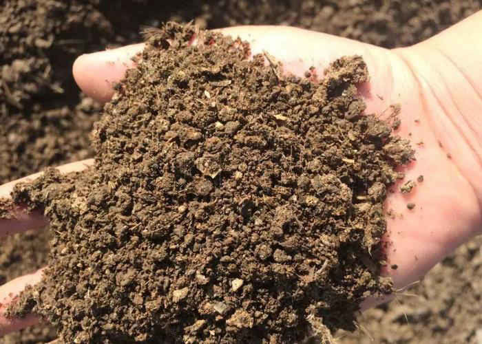 1-10T/h Capacity Organic Waste Granulation Machine Organic Fertilizer Granulator YSL Series