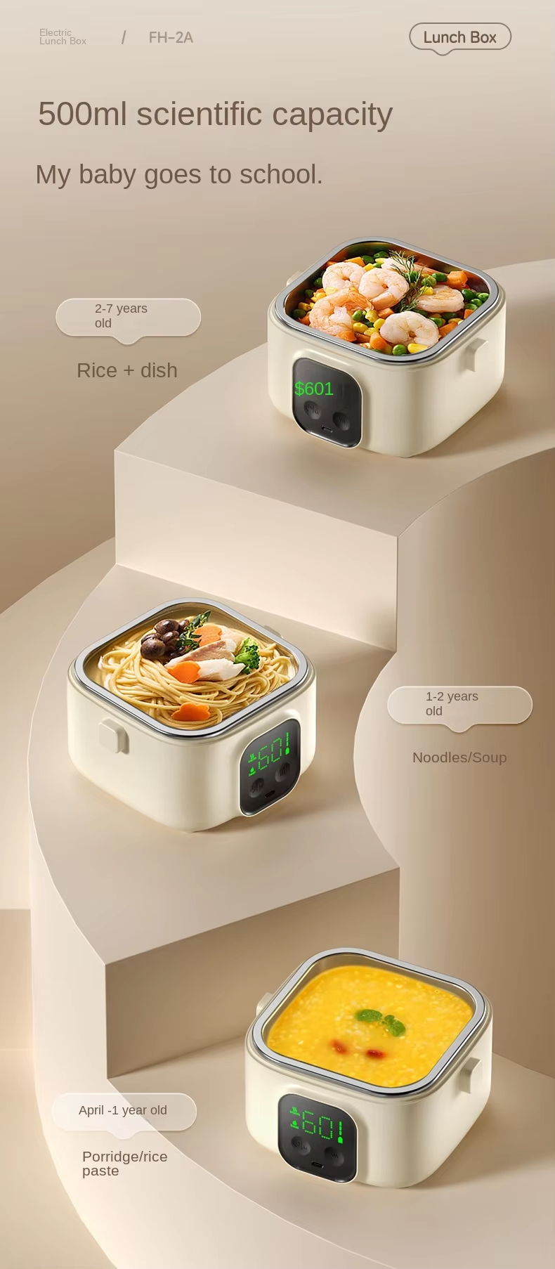 heated lunch box