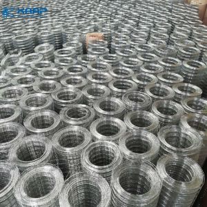Concrete Reinforcing Roll 0.8mm Galvanized Welded Wire Mesh