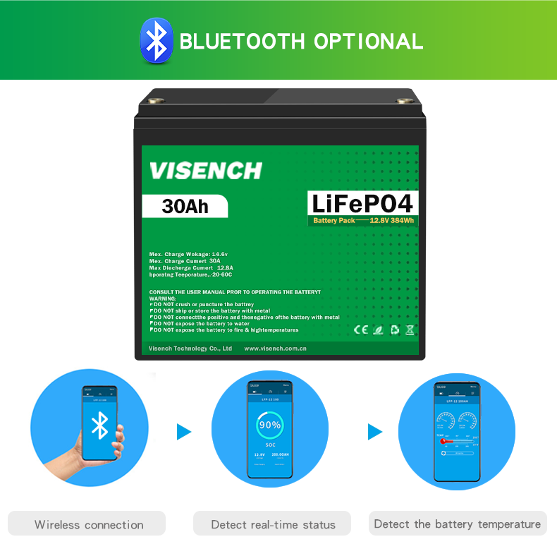 Visench 12V 30Ah Lithium Ion Iron Phosphate Battery Rechargeable 12.8V Lifepo4 Battery Pack