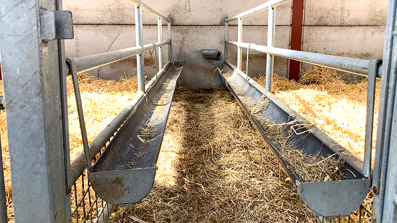 Aluminum Alloy Window Prefab Steel Construction Agricultural Building for Cattle Barn