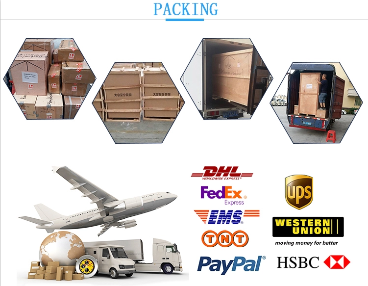 15 Bag / Min Automatic Packaging Machine For Large Food Pouch Tea Bags Multifunctional