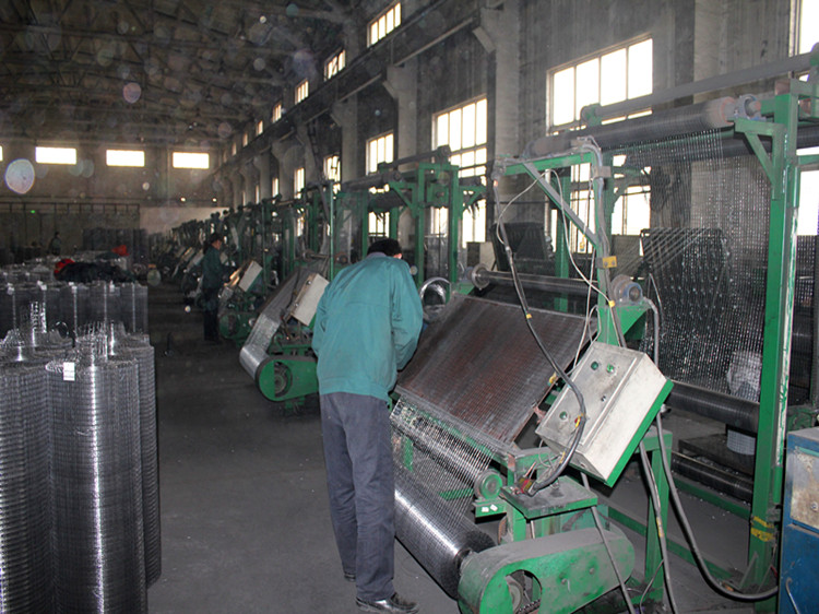0.5-2 mm 1/2x1/2 1x1 50x50mm square mesh galvanized after welding hot dipped galvanized welded wire mesh