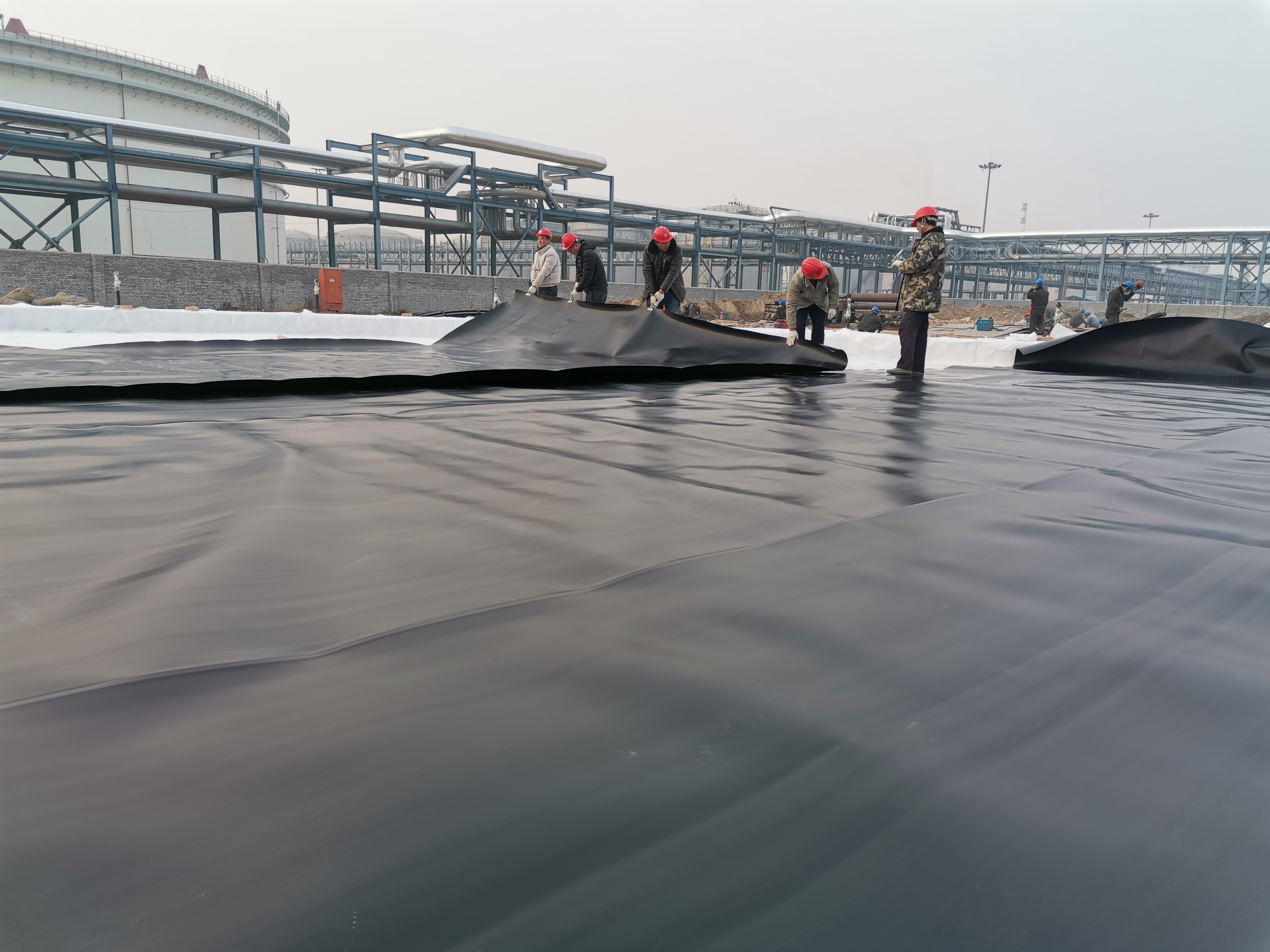 Direct 0.5mm Eco-Friendly HDPE Plastic Geomembrane for Fish Pond Roll Length 50-200m
