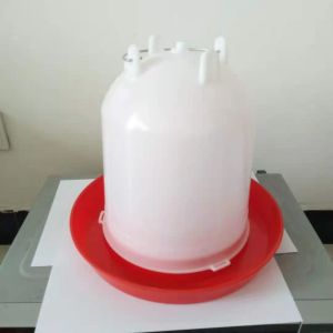 Layers Broilers And Chicks 1l Automatic Chicken Drinkers And Feeders
