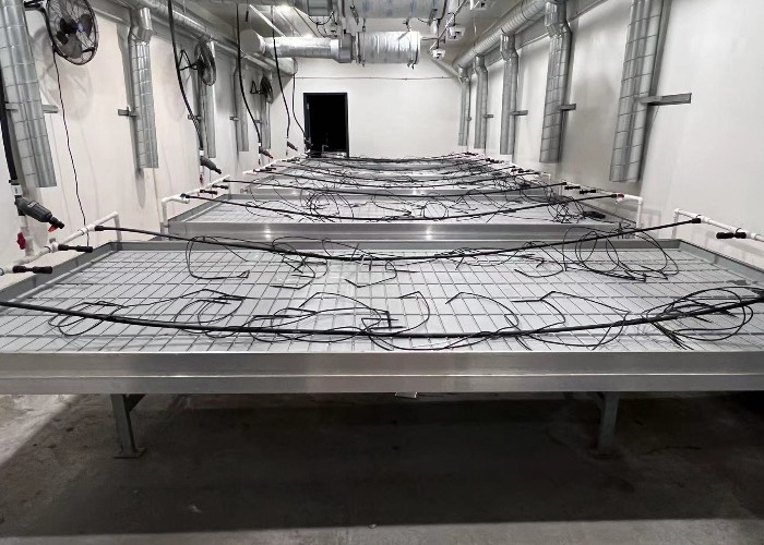 4ft 5ft customized width Movable seedbed growing bench rolling table with aluminum alloy frames