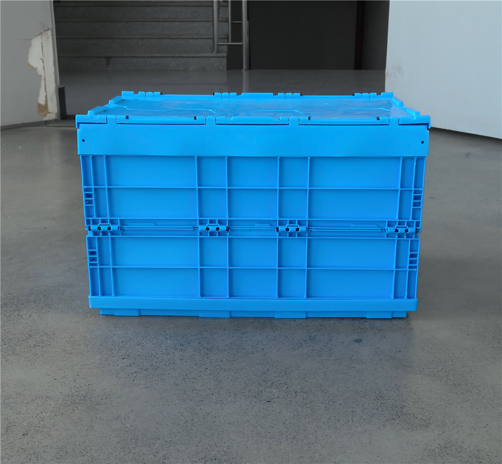 PE Material Custom Plastic Egg Tray for Food Storage Container Sturdy Mesh Style
