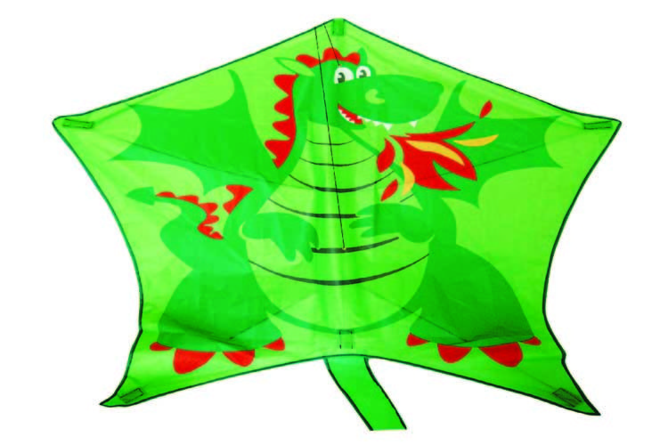 Colorful Special Kites 100*120CM With 30m String Line Fiberglass Frame