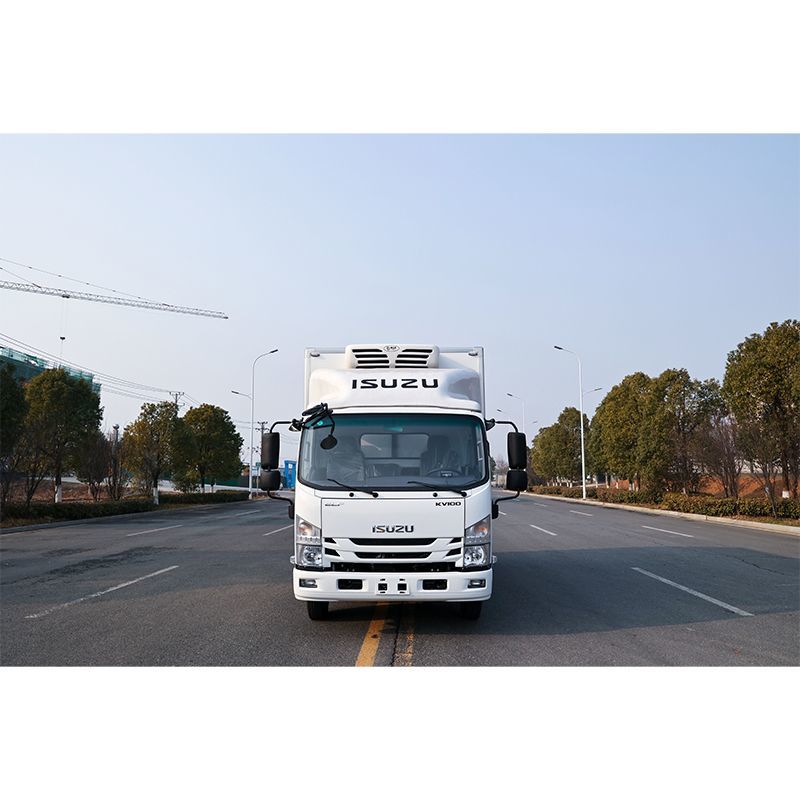 Isuzu Refrigerator Truck Trailer Refrigerated Van for Vegetable and Fruit