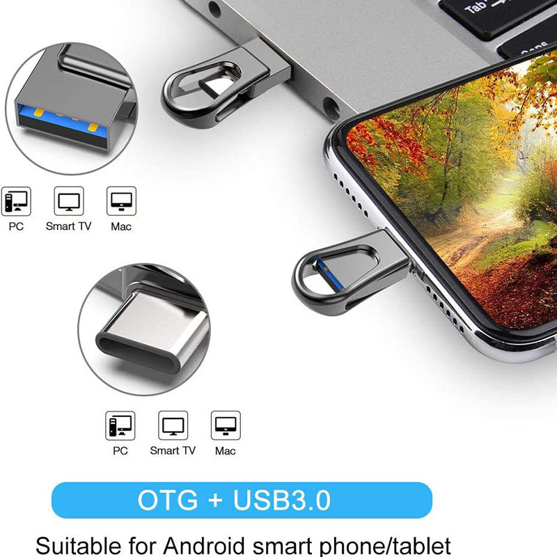 Metal Type C OTG USB Flash Drives 2.0 128GB 256GB ROHS approved
