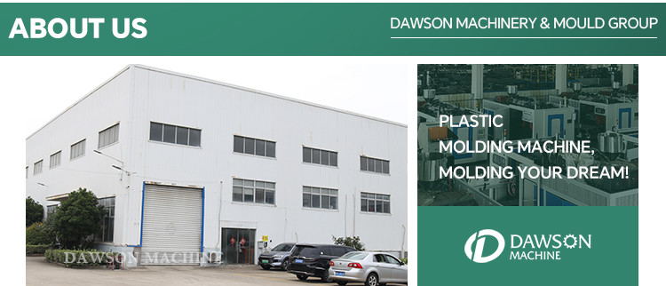 Automatic 500ml 600ml 800ml PET Pesticide Bottle Blowing Molding Machine