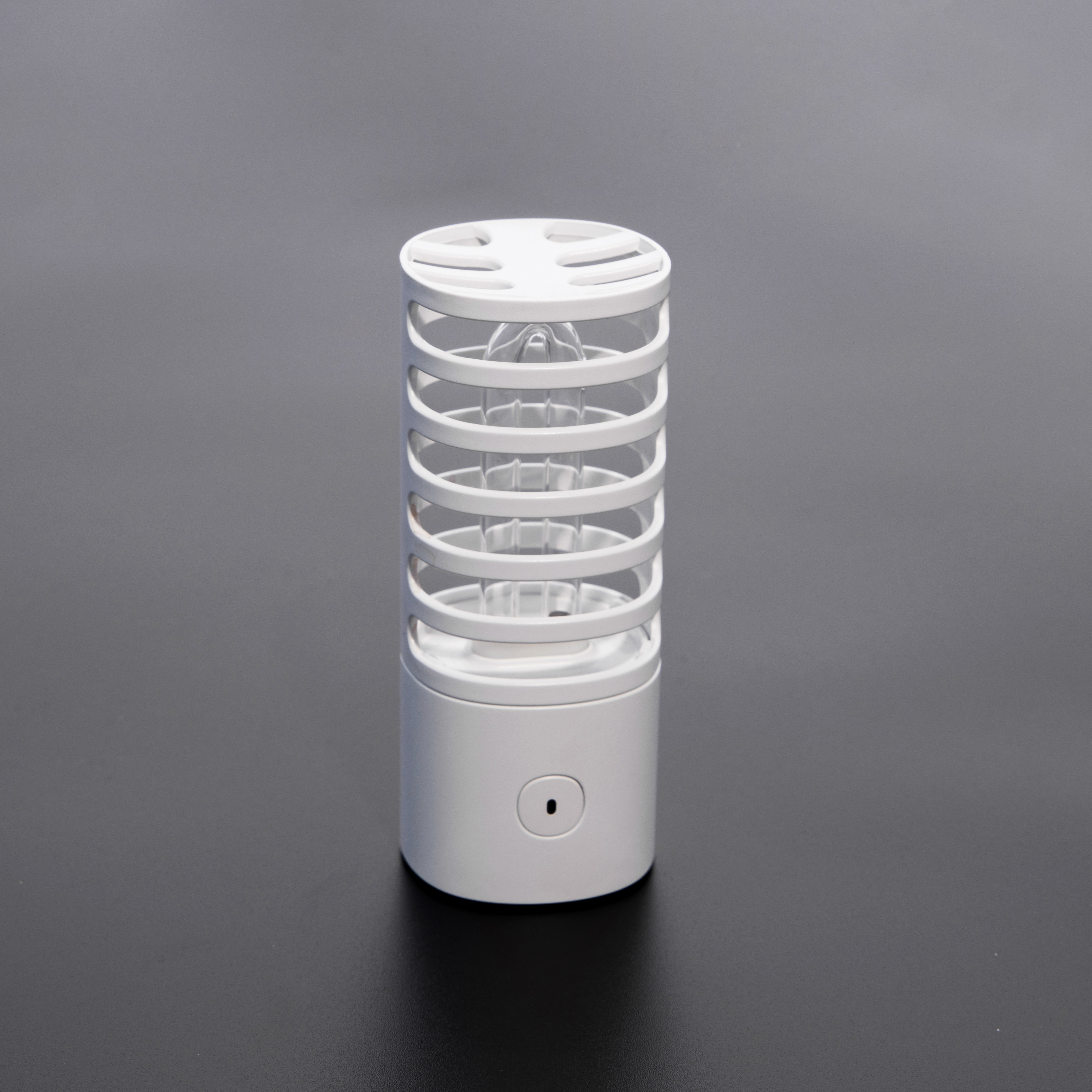 Car Portable UV Sterilizer Lamp Germicidal Disinfection Device