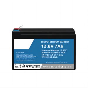 Moistureproof 7AH Lithium Battery Pack BMS Built In Multipurpose