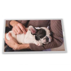  8-Inch 800*600 A-Si TFT-LCD Display Module High Quality A080SN02 V0 with Parallel RGB Signal Type Manufactures