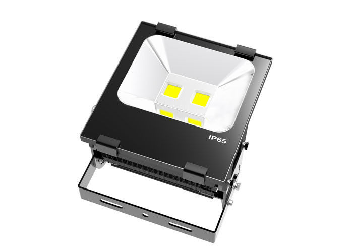 120LM/W Outdoor LED Flood Lights Bridgelux Chip COB 5 Years Warranty UL