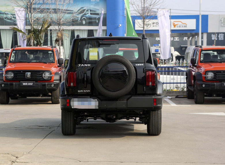 2023 Tank300 2.0T Off-road Model Gasoline 2.0T 227HP L4 5 Door 5 seats SUV