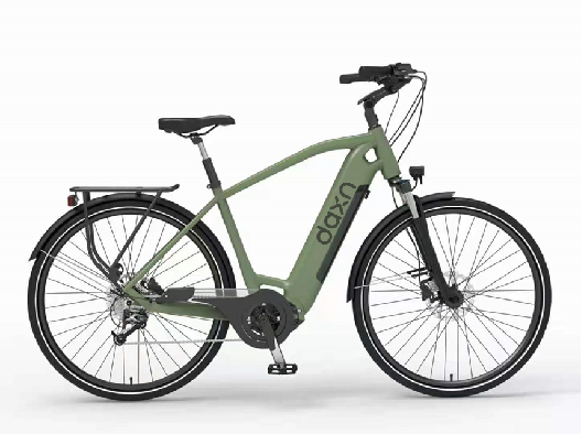 250W 750w Electric City Bike 16.5AH Battery Dual Motor For Adults