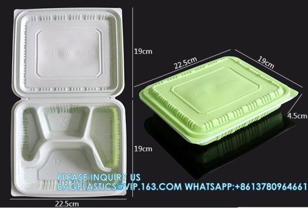 Factory Direct Sales Takeaway Food Packaging And Storage Containers Disposable