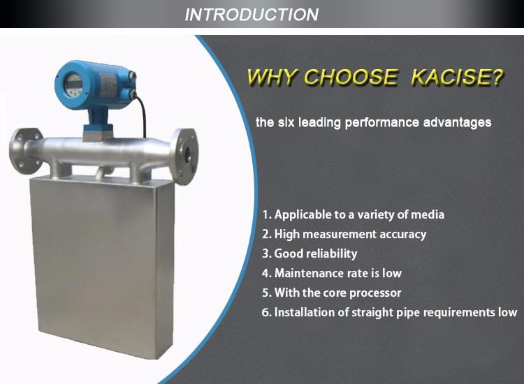 2024 Petroleum Mass Flowmeter with Low Cost Made In China with working pressure 0~4.0MPa