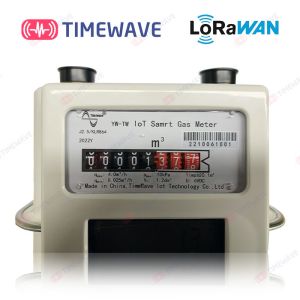 Smart LoraWan Wireless Gas Meter With Secure Data Transfer Real Time Monitoring