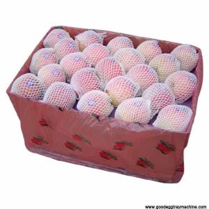 PE Foam Fruit Net Machine