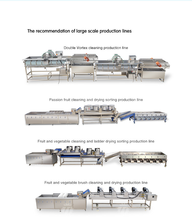 1000KG/H Double layer spray leaf vegetable cleaning machine large bubble eddy current vegetable cleaning machine