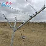 Recyclable Orchard Trellis Systems Provides Complete Control Trellis Wires