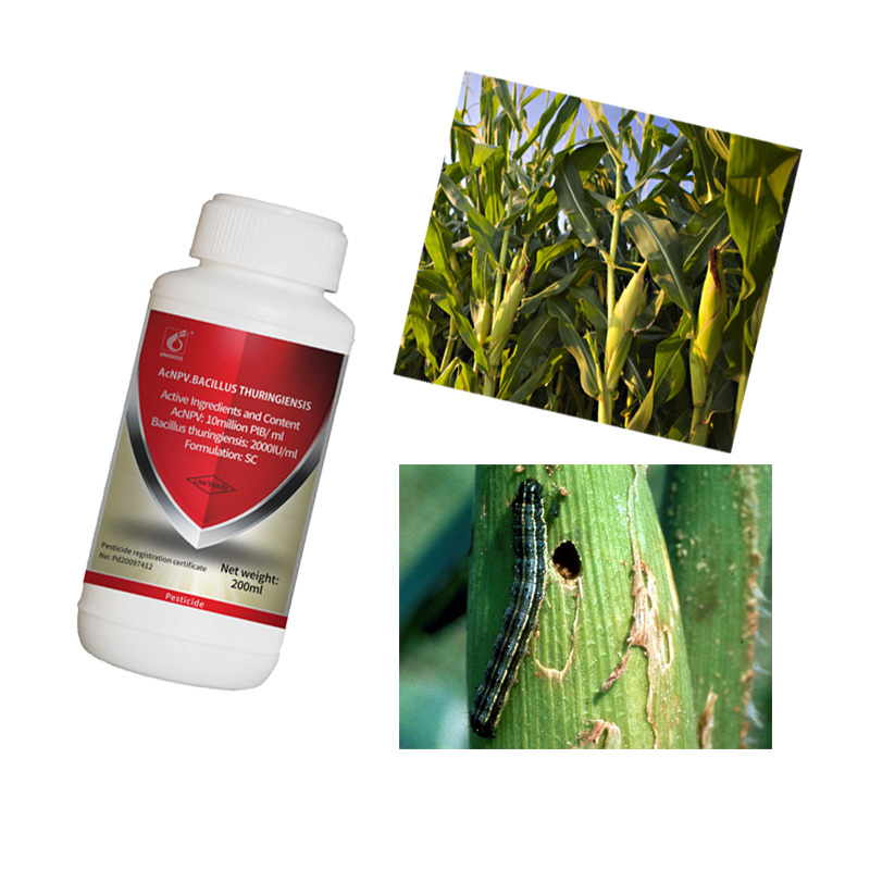 16000 iu/mg Bacillus Thuringiensis Biological Insecticides & AcNPV Nuclear Polyhedrosis Virus Organic Pesticide