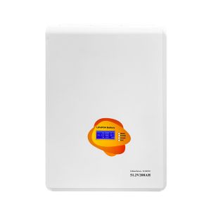 Wall Mounted Lithium Battery Pack Equipped With Battery Status Monitor
