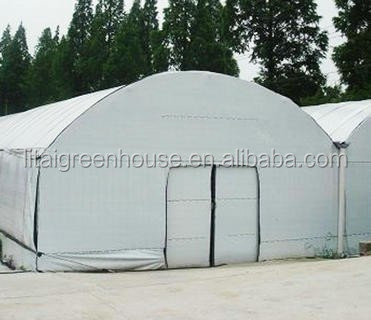 Single-Span Agricultural Greenhouses for Commercial Stable Structure Easily Assembled