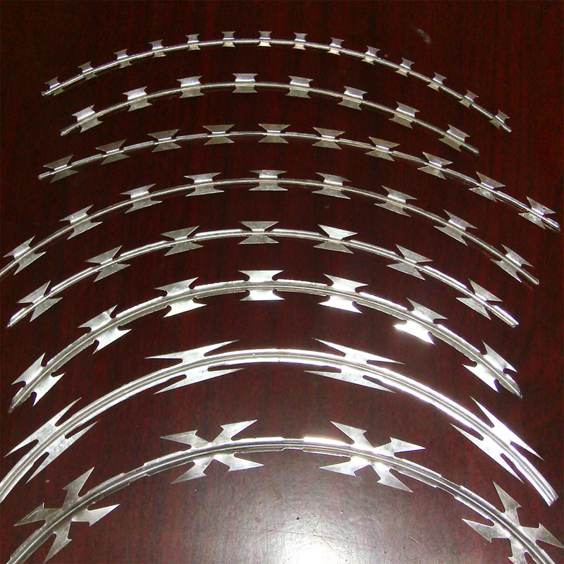 China Specialized Manufacturer Razor Barbed Tape Wire