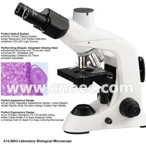 Infinity E - plan Aspheric Illumination Compound Optical Microscope A12.6603