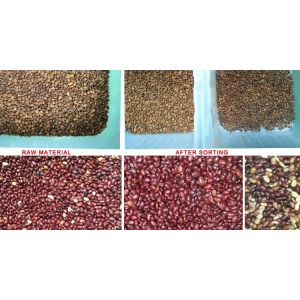 Image Processing Coffee Bean Sesame Color Sorter With Special Lens