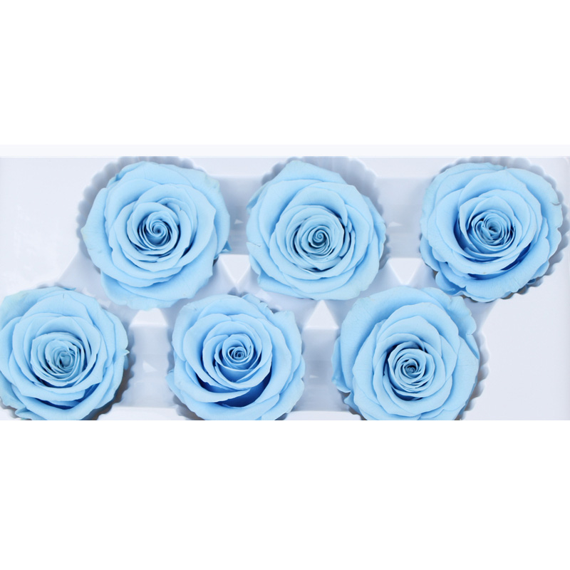 Home Decoration Preserved Rose Heads For Arrangements And Decorations