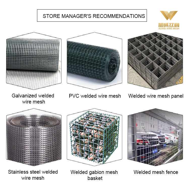 Aquaculture Stainless Steel Welded Wire Mesh 30M Length 0.5m-2m Excellent Corrosion Resistance