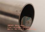 Dairy cow balling gun for magnet , stainless steel bolus gun with pressing