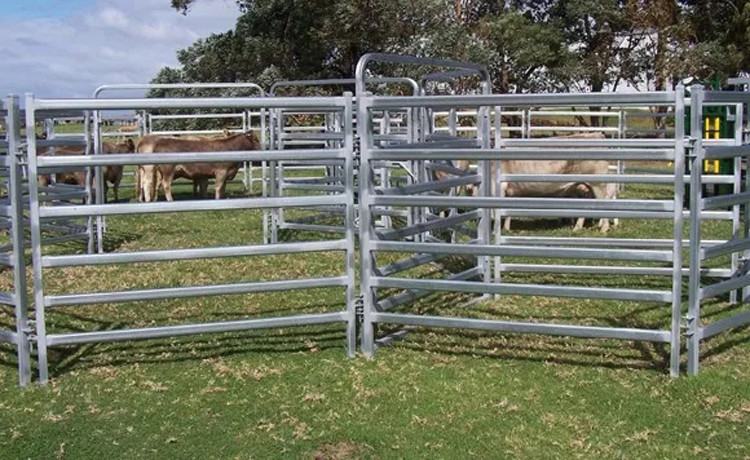 Q215 Q235 Galvanized Livestock Fencing 1.6m 1.8m Paddock Fence Panels