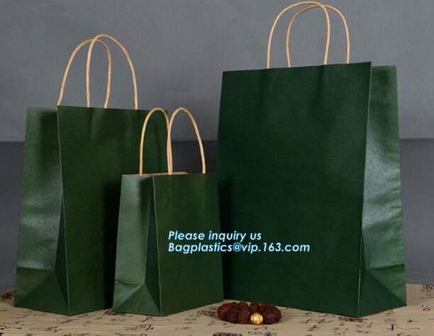 Flower carrier bag with different color customized pot plants kraft paper bag with handle,stamping logo fancy paper flow