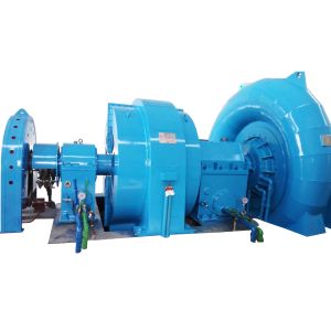 Customized Vortex Turbine Hydro Power Generator Horizontal Or Vertical Francis