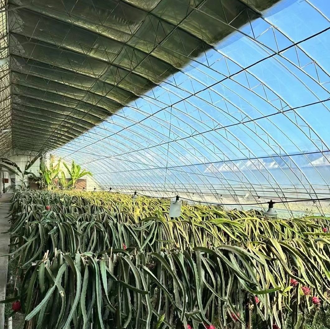 Modern Sunlight Glass Greenhouse with Automatic Irrigation System