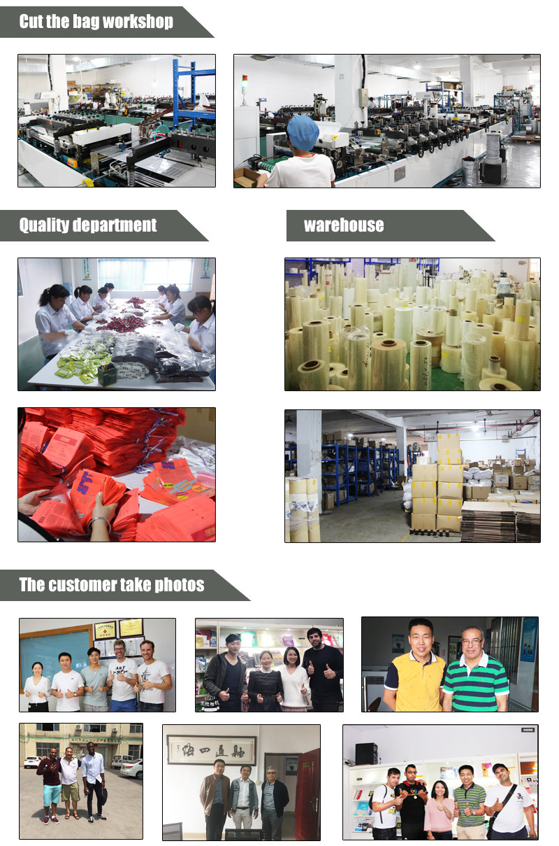 100% Biodegradable And Customizable Eco Friendly Bags