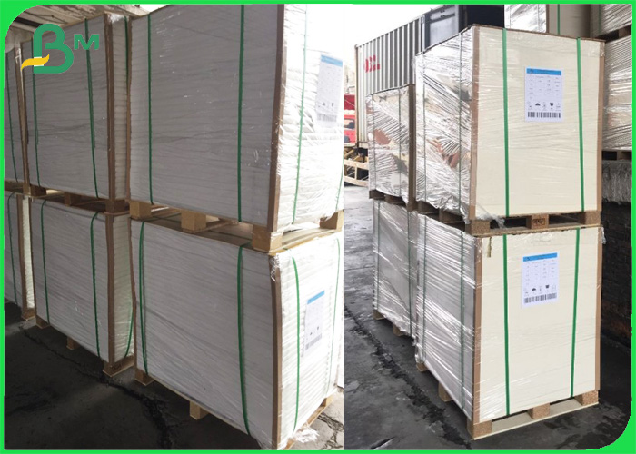FDA PE Coated Paper 300gr 350gr Sheet for Box of Food 70 x 100cm