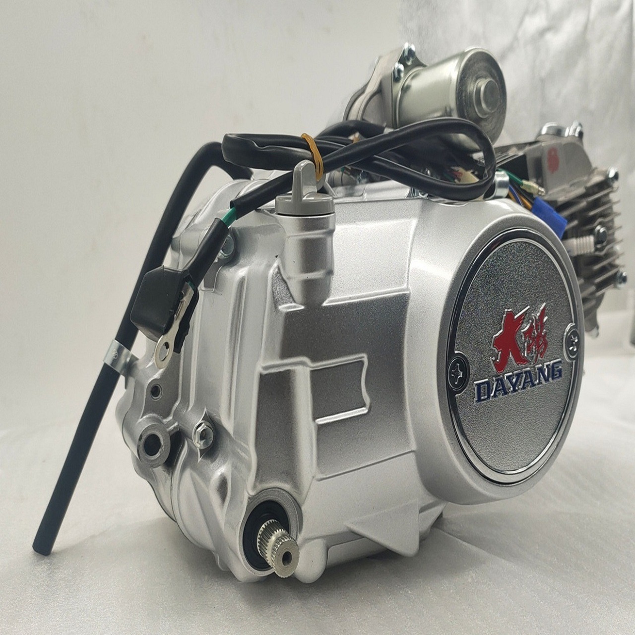 Silver DAYANG LIFAN 125CC Nature AIR-cooled Motorcycle Engine Assembly 3 Wheel Cargo Tricycle Single Cylinder Style Origin