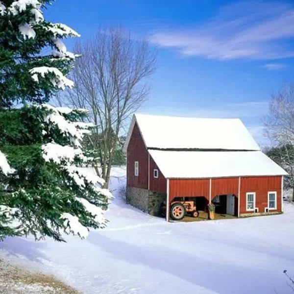 HILHELM Exterior Wood Coating outdoor anti-low temperature snow and high anti