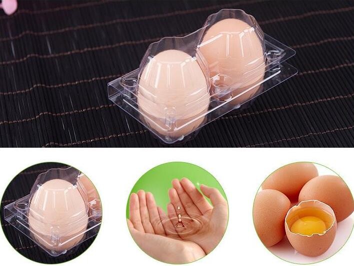Meal Prep Containers Free Sample Bento Lunch Box Biodegradable Food Container Plastic Wheat Straw Lunch Box bagplastics
