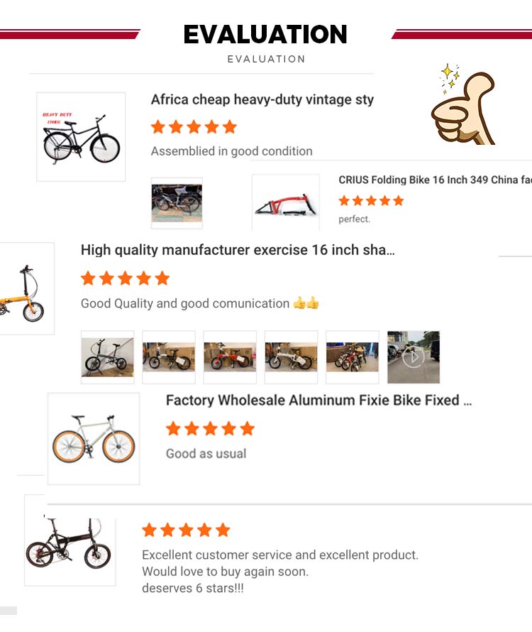 Remote Control Electric Bike M510 Mid Drive And 48V 13Ah Lithium Battery
